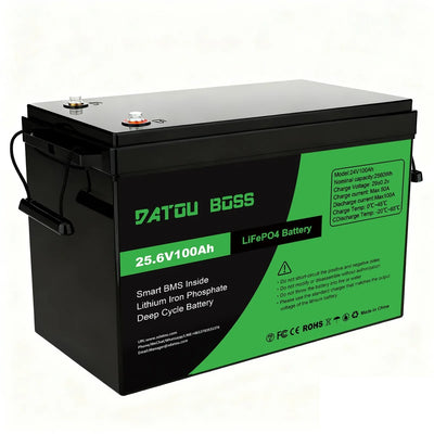 24V 100Ah LiFePO4 Battery  100A BMS